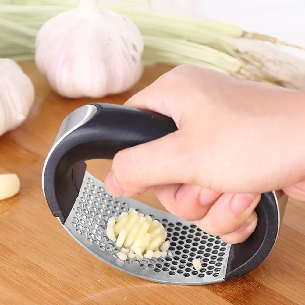 Stainless Steel Garlic Press & Crusher
