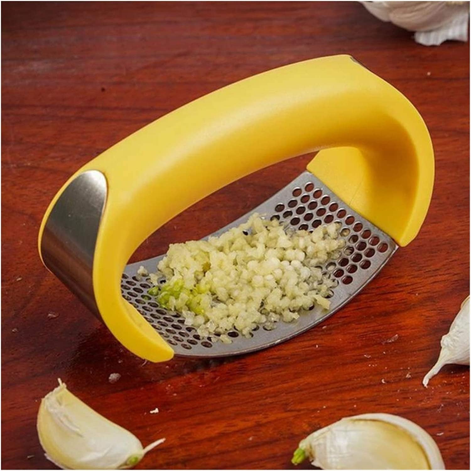 Stainless Steel Garlic Press & Crusher